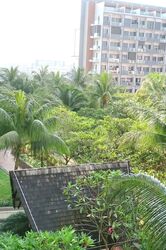 Blk 2C Sri Geylang Serai (Geylang), HDB 4 Rooms #573946581